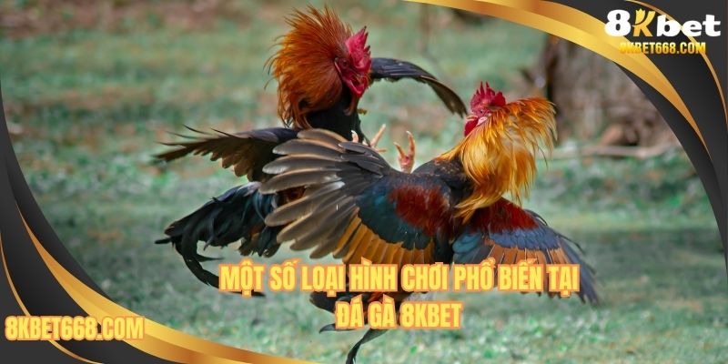 Những loại hình chơi được yêu thích tại đá gà 8KBET