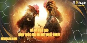 Đá Gà Cựa Dao 8KBET - Hình Thức Thi Đấu Đầy Máu Chiến