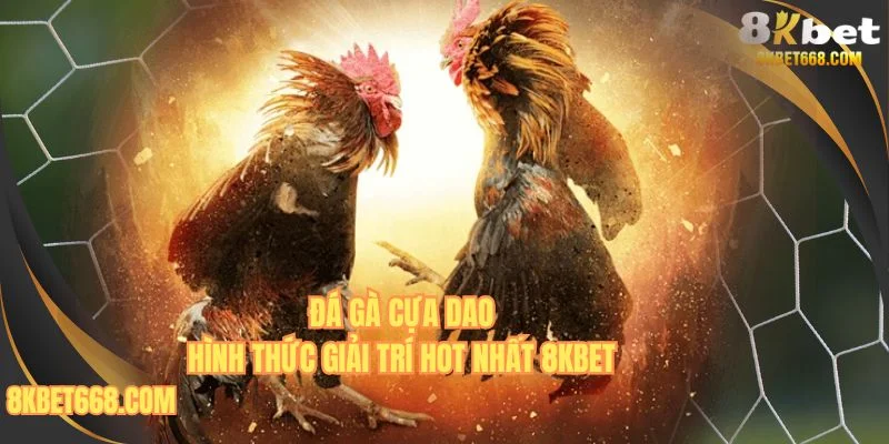 Đá Gà Cựa Dao 8KBET - Hình Thức Thi Đấu Đầy Máu Chiến