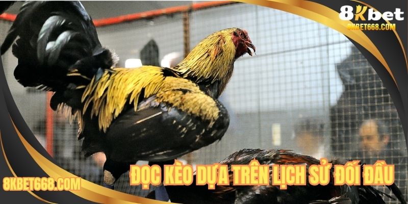 Đọc kèo dựa trên lịch sử đối đầu