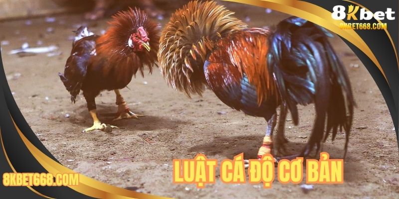 Luật cá độ cơ bản