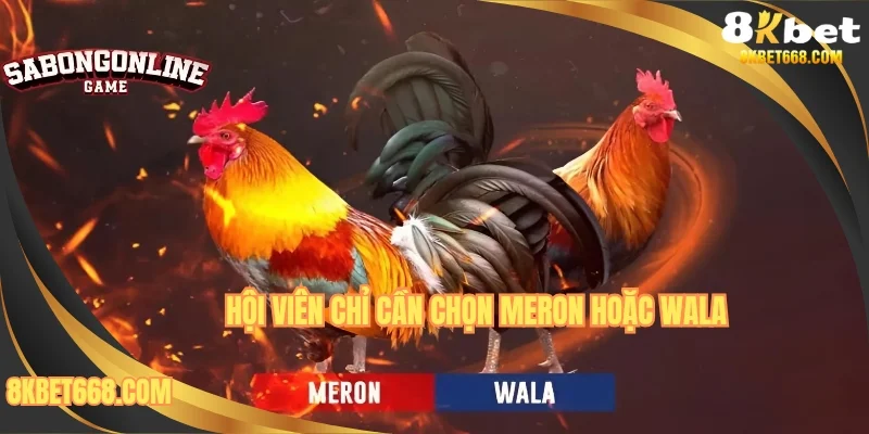 Hội viên được quyền chọn ba cửa cược cơ bản