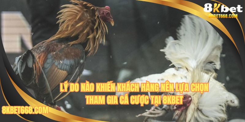 Lý do nào mà khách hàng tin tưởng theo dõi trận đấu tại đây