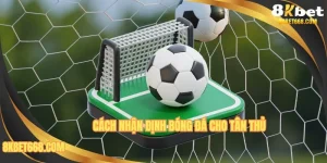Nhận Định Bóng Đá - 8KBET Bật Mí Bí Kíp Bắt Kèo Thể Thao