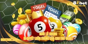 Nuôi Lô Khung 8KBET - Lựa Chọn Thời Gian Đánh Là Trúng
