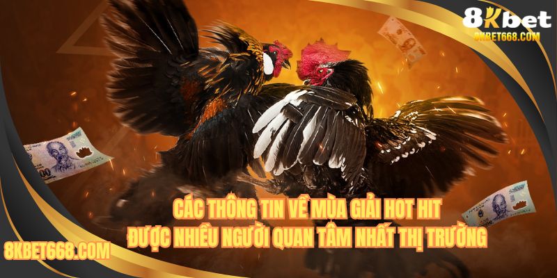 Thông tin về các cuộc thi đấu đá gà được nhiều người quan tâm