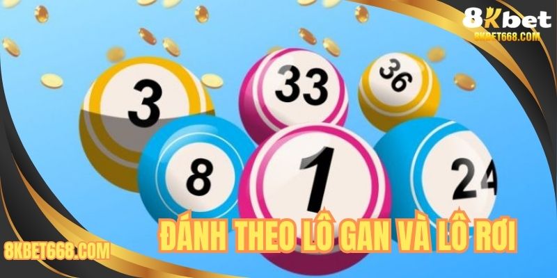 Đánh theo lô gan và lô rơi