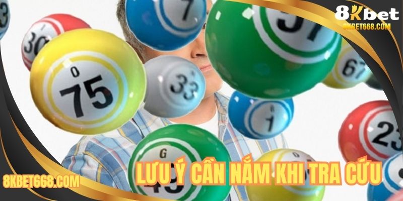 Lưu ý cần nắm khi tra cứu